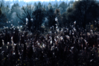 Работа 1829469