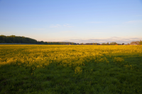 Работа 1829465