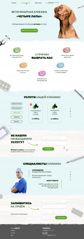 Дизайн Landing Page для ветеринарной клиники