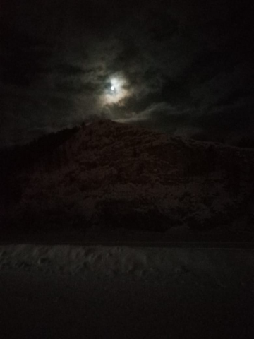 Лунная ночь
