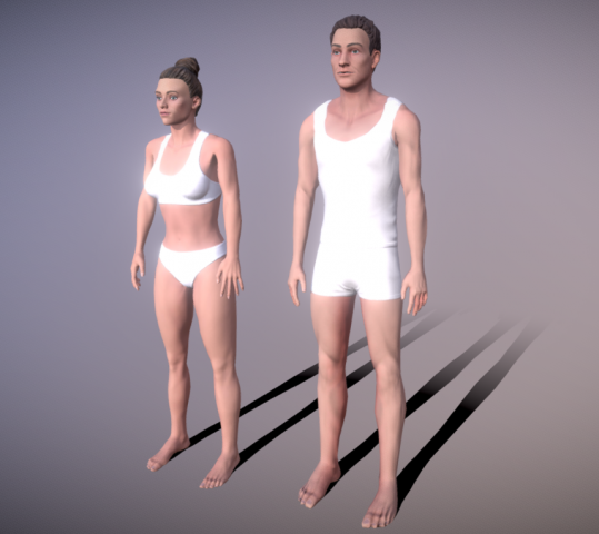 3D модели мужчины и женщины