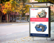 Баннер для Exposale