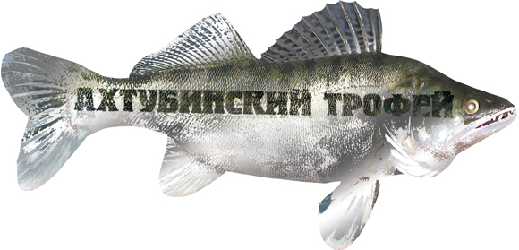 Буклет-рыбка для фестиваля "Ахтубинский трофей"
