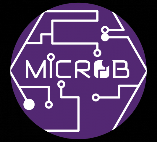 Логотип ДОП «MicRob»