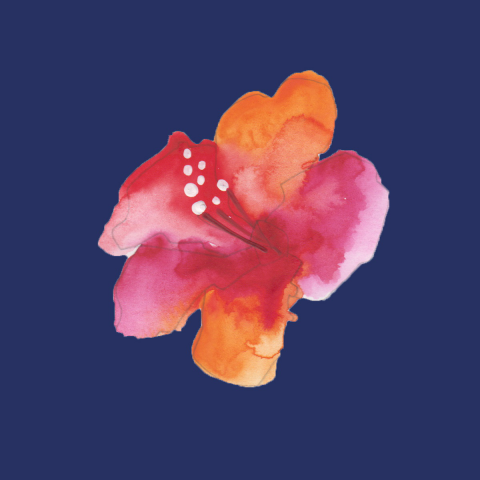 Art Rotoskopy. Цветок