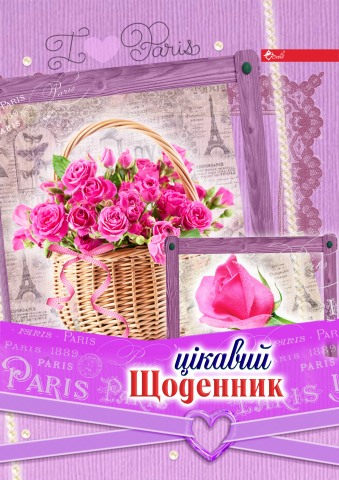 Обложка Школьный Дневник