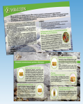 каталог косметики (Израиль)