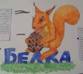 Белка (стенгазета в детский сад)