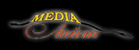 Media-Лайт