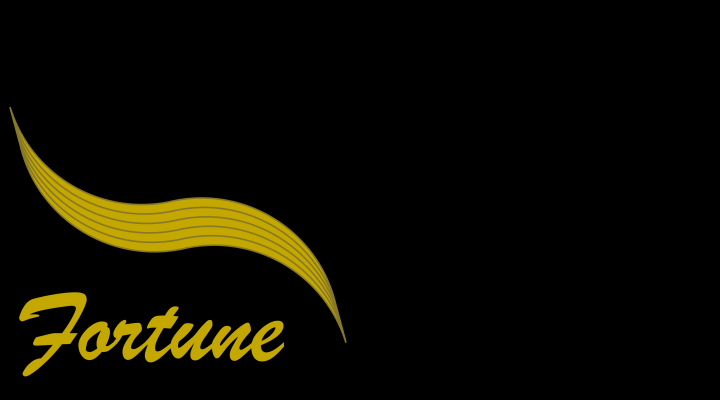 LOGO fortuna