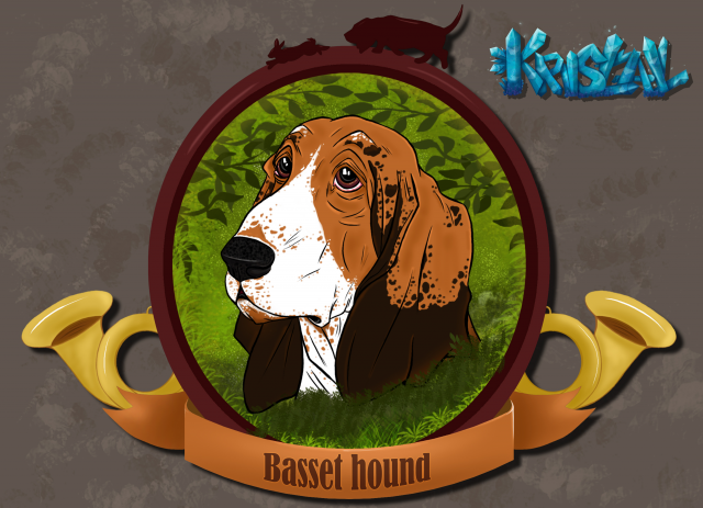 Иллюстрация Bassed hound