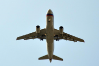 Работа 1065640