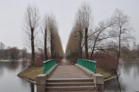 Работа 1065605