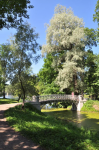 Работа 1065587