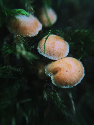 Работа 3605044