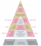 Пирамида бренда Amore