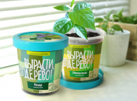 Вырасти, дерево!