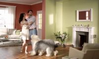 Краски Dulux - реклама на ТВ