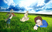Сольный концерт