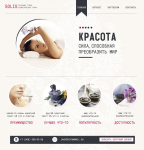 Вариант, не согласованный заказчиком 2