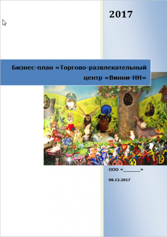 Бизнес-план "Детский торгово-развлекательный центр "Винни-НН"
