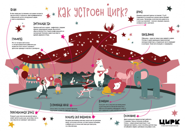 Инфографика "Как устроен цирк?"
