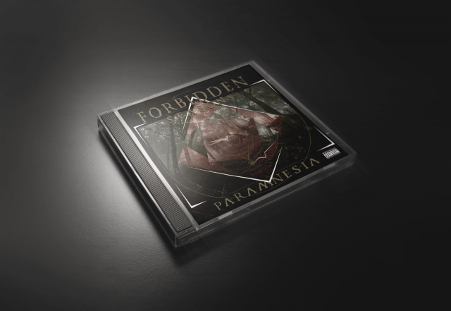 Разработка обложки CD диска для музыкальной группы