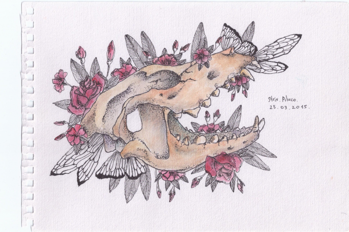 Рисунок от руки