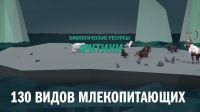 Работа 3095972