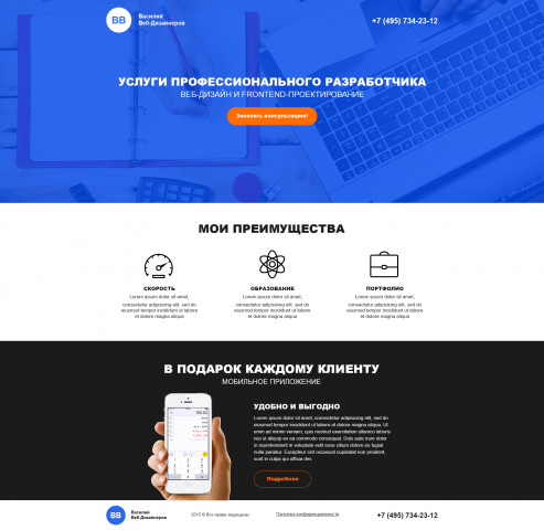 WEB designer