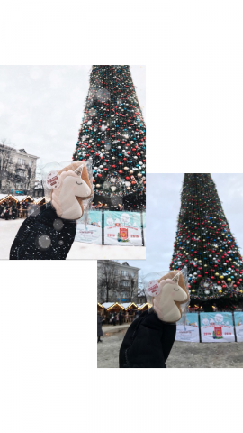 Новогоднее фото для соц. сетей