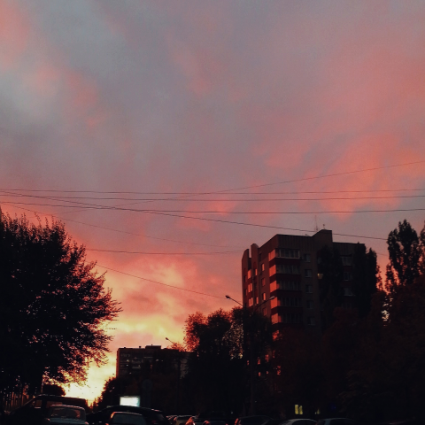 Работа 3596032