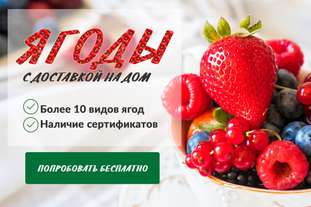 Работа 3435582