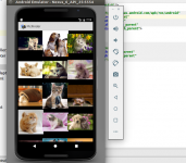 PicFinder