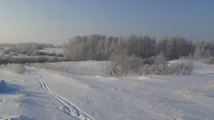 Зимняя прогулка