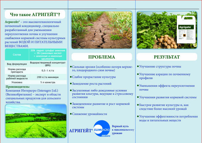 Работа 3593470