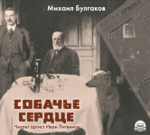 Обложка аудиокниги