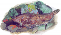 Рисунок