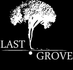 Логотип агентства Last Grove