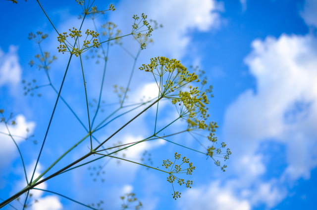 На рассвете в горах на высоте более 2 000 м над морем