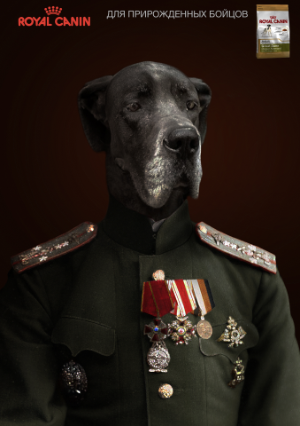 собачий корм