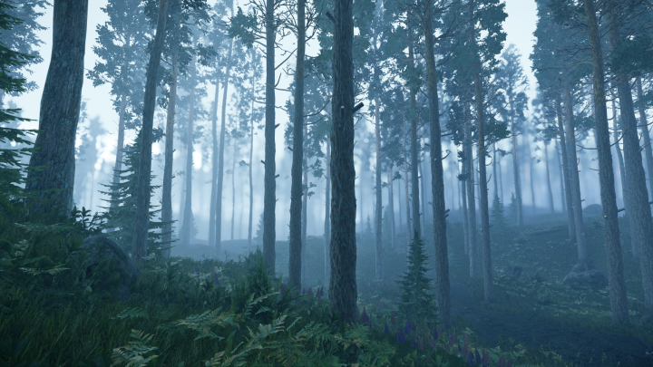 Forest - создание уровня CryEngine