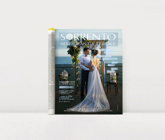 Модуль в Журнал для SORRENTO