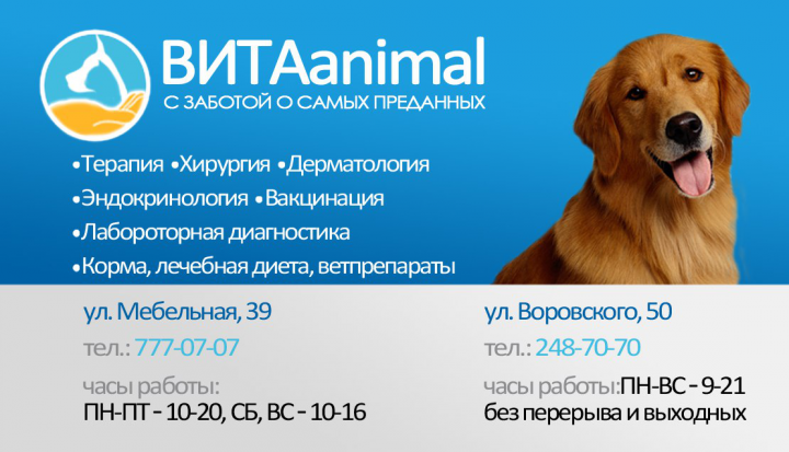 Визитка