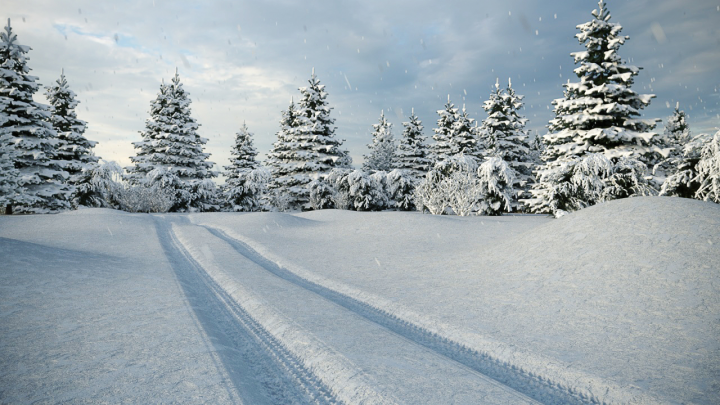 Snow