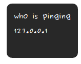 whoispinging