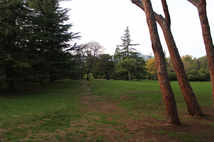 Работа 3582225