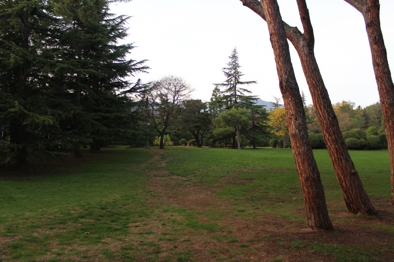 pic3582225.jpg