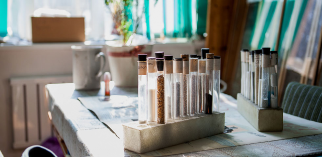 Наука в городе: Кто получил гранты президента РФ во Владивостоке