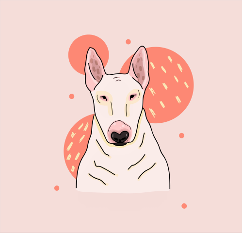 Bull Terrier